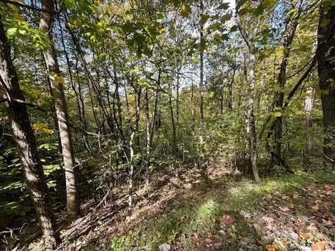 Lot 73 Hidden Treasure Murphy NC 28906