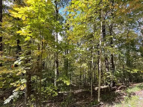 Lot 73 Hidden Treasure Murphy NC 28906