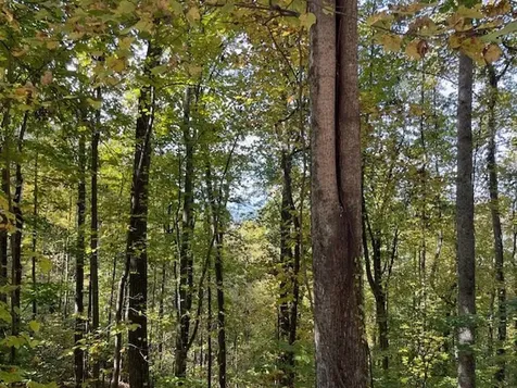 Lot 73 Hidden Treasure Murphy NC 28906