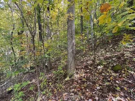 Lot 73 Hidden Treasure Murphy NC 28906