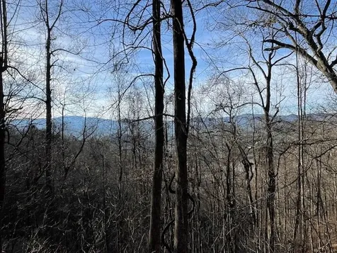 Lot 73 Hidden Treasure Murphy NC 28906
