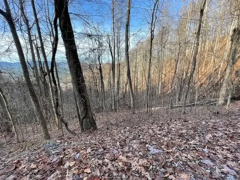 Lot 73 Hidden Treasure Murphy NC 28906