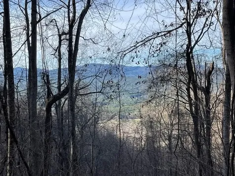 Lot 73 Hidden Treasure Murphy NC 28906