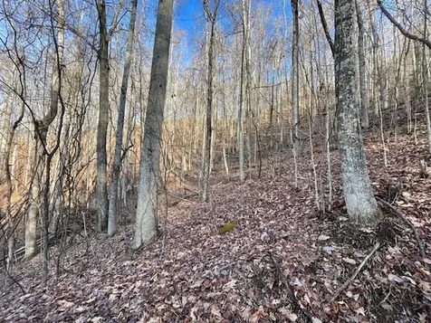 Lot 73 Hidden Treasure Murphy NC 28906
