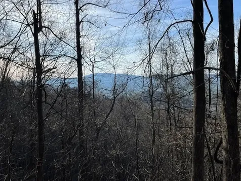 Lot 73 Hidden Treasure Murphy NC 28906