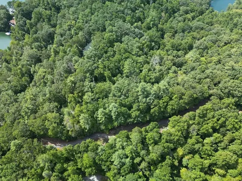 5,7,9,11 Dogwood Trail Robbinsville NC 28771