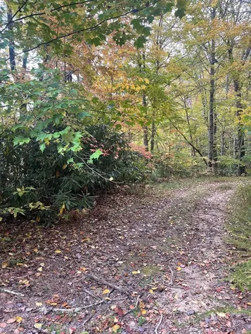 27 Tom Hay Drive Topton NC 28781