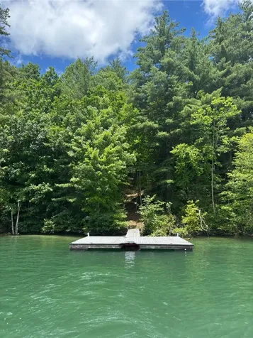 27 Tom Hay Drive Topton NC 28781