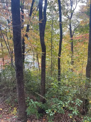 27 Tom Hay Drive Topton NC 28781