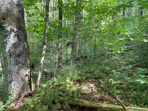 24 Old Faber Road Glen Hay Topton NC 28781