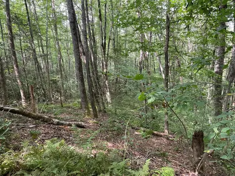 24 Old Faber Road Glen Hay Topton NC 28781