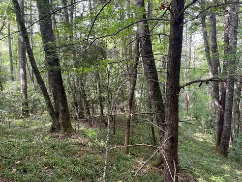 24 Old Faber Road Glen Hay Topton NC 28781