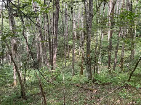 24 Old Faber Road Glen Hay Topton NC 28781