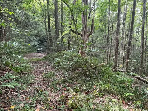 24 Old Faber Road Glen Hay Topton NC 28781