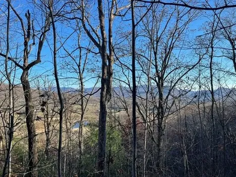 Lot 29c Indian Trail Hayesville NC 28904