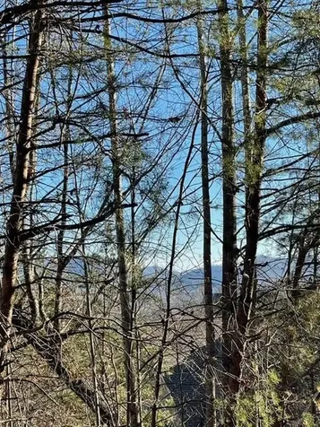 Lot 29c Indian Trail Hayesville NC 28904