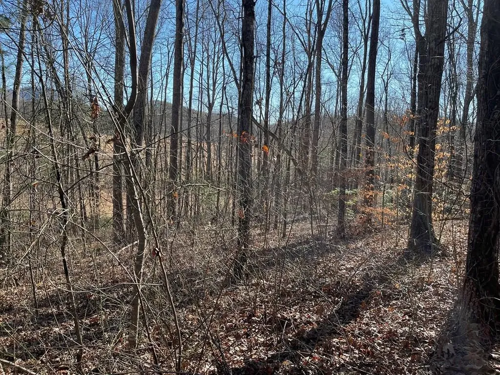 Lot #12E The Woodlands Hayesville NC 28904