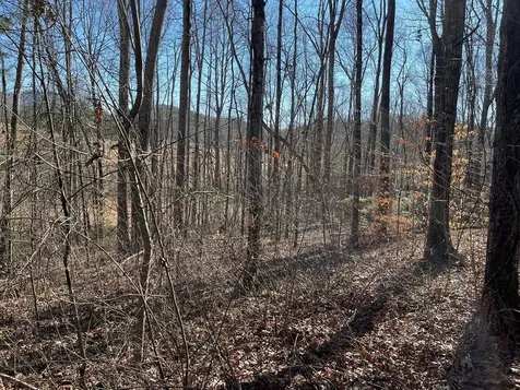 Lot #12E The Woodlands Hayesville NC 28904