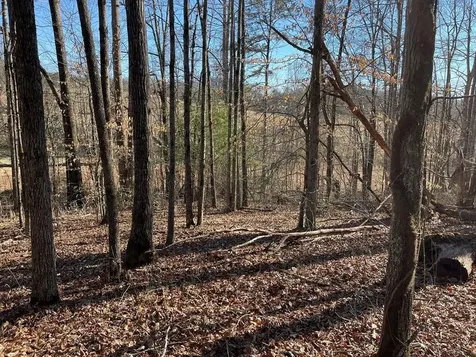 Lot #12E The Woodlands Hayesville NC 28904