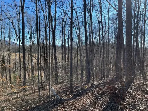 Lot #12E The Woodlands Hayesville NC 28904