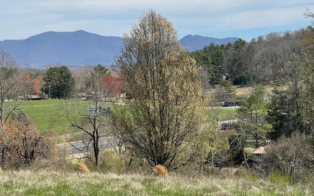 Lot 8 Cabin Drive Hayesville NC 28904