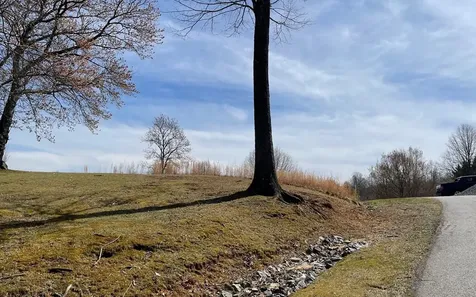 Lot 8 Cabin Drive Hayesville NC 28904