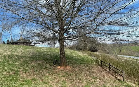Lot 8 Cabin Drive Hayesville NC 28904