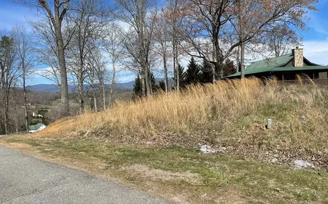 Lot 8 Cabin Drive Hayesville NC 28904