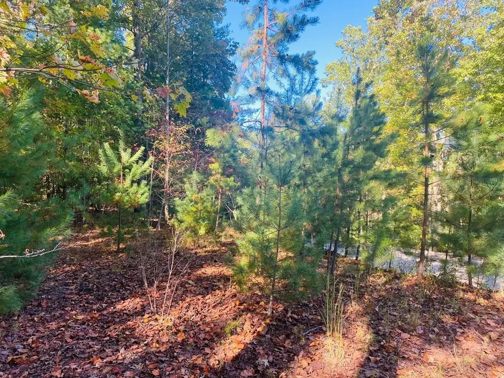 Lot 34 Point Overlook Trail Murphy NC 28906