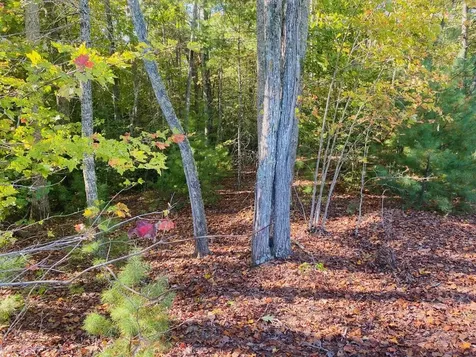 Lot 34 Point Overlook Trail Murphy NC 28906