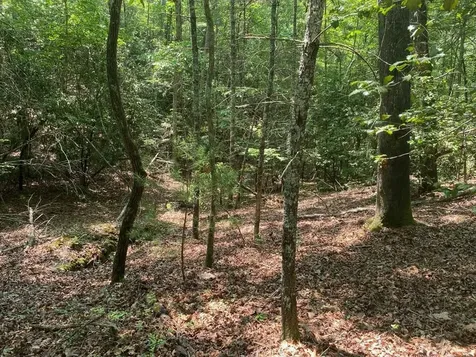 Lot 34 Point Overlook Trail Murphy NC 28906