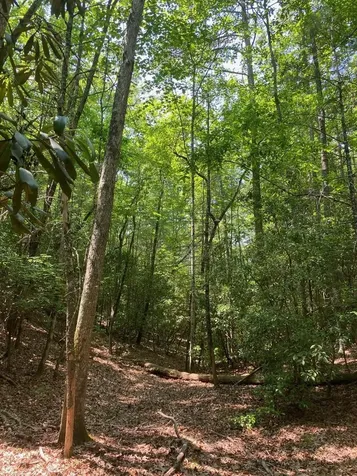 Lot 34 Point Overlook Trail Murphy NC 28906