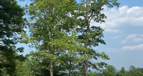 Lot 34 Point Overlook Trail Murphy NC 28906