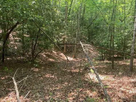 Lot 34 Point Overlook Trail Murphy NC 28906