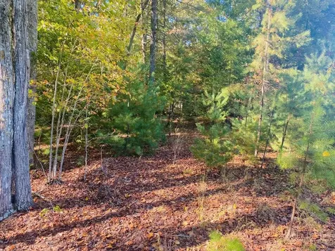 Lot 34 Point Overlook Trail Murphy NC 28906