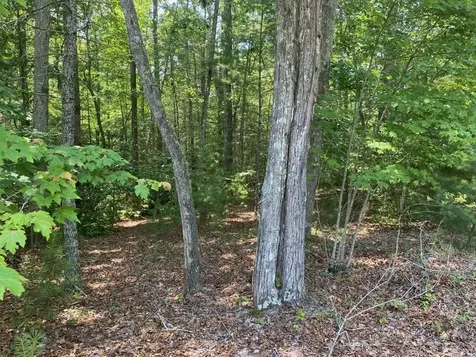 Lot 34 Point Overlook Trail Murphy NC 28906