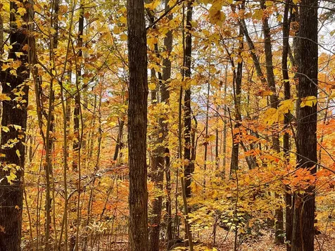 Lot 12b Grandview Drive Hayesville NC 28904