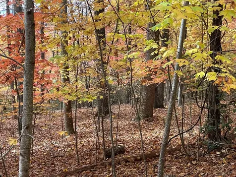 Lot 12b Grandview Drive Hayesville NC 28904