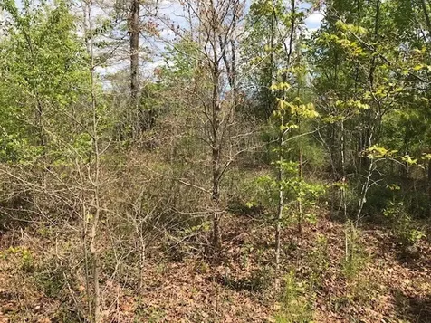 Lot 29 Brasstown View Road Murphy NC 28906