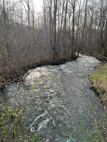Lots 9, 10, 11, 15 & 17 Mary Lane Hayesville NC 28904