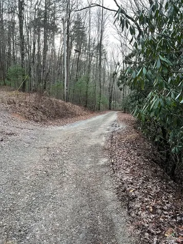 Lots 9, 10, 11, 15 & 17 Mary Lane Hayesville NC 28904