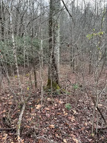 Lots 9, 10, 11, 15 & 17 Mary Lane Hayesville NC 28904