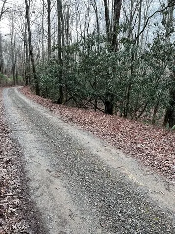 Lots 9, 10, 11, 15 & 17 Mary Lane Hayesville NC 28904