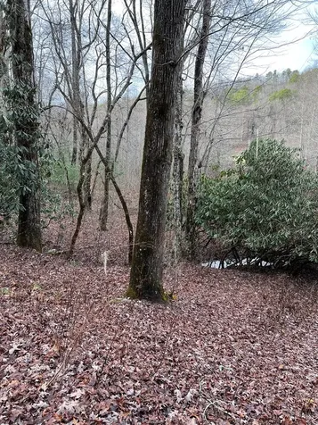 Lots 9, 10, 11, 15 & 17 Mary Lane Hayesville NC 28904