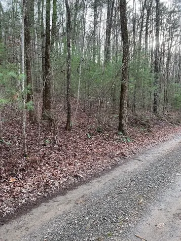 Lots 9, 10, 11, 15 & 17 Mary Lane Hayesville NC 28904