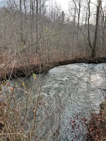 Lots 9, 10, 11, 15 & 17 Mary Lane Hayesville NC 28904
