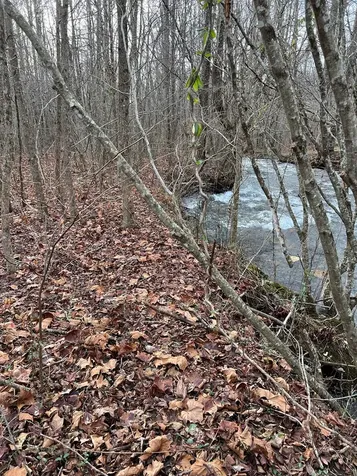 Lots 9, 10, 11, 15 & 17 Mary Lane Hayesville NC 28904