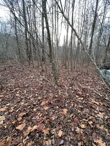 Lots 9, 10, 11, 15 & 17 Mary Lane Hayesville NC 28904