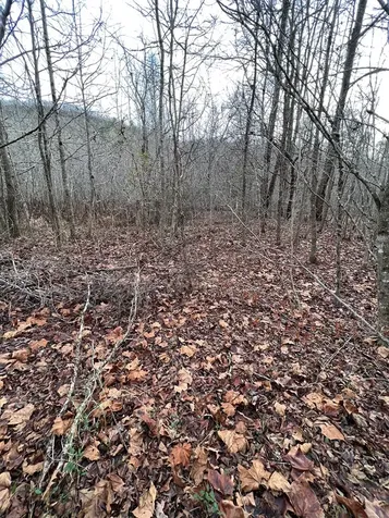 Lots 9, 10, 11, 15 & 17 Mary Lane Hayesville NC 28904