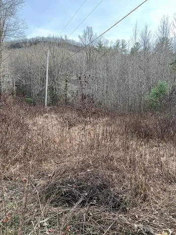 Lots 9, 10, 11, 15 & 17 Mary Lane Hayesville NC 28904
